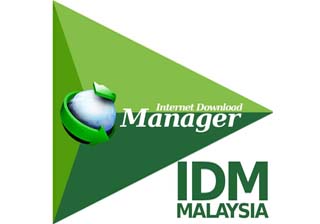 Internet Download Manager(IDM下载器)v6.38.10绿色特别版