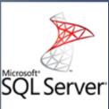 Microsoft SQL Server 2019 Developer简体中文版
