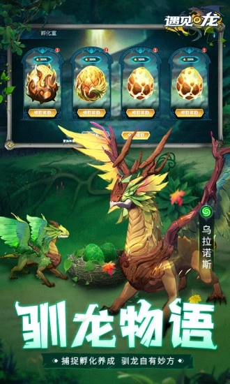 遇见龙(送神龙莉丝)