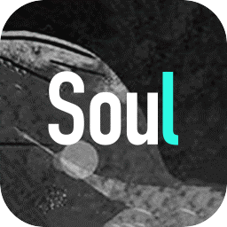 Soul罻