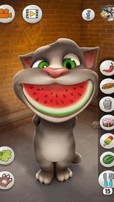 会说话的汤姆猫无广告版本