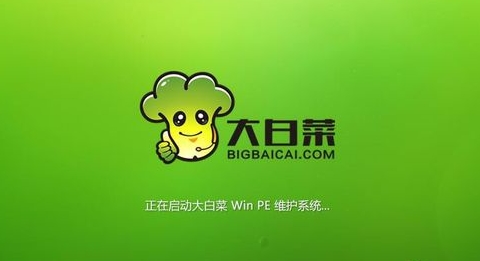 大白菜系统下载_大白菜Win7系统_大白菜Win10系统下载官方版