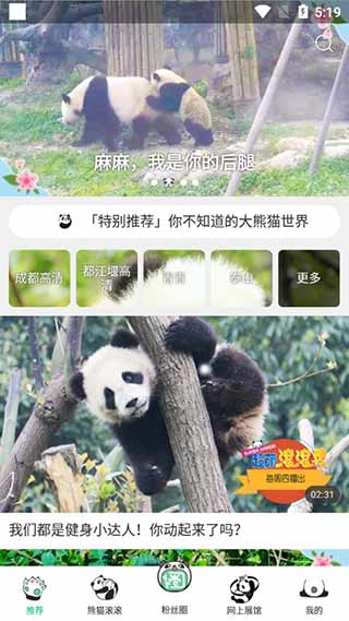 熊猫频道APP