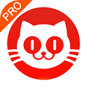 猫眼专业版app v6.16.0最新版