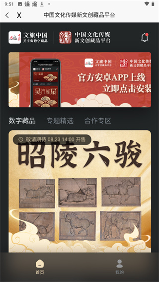 山东省文旅通app