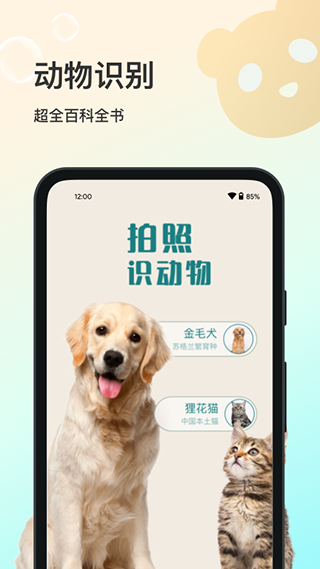 花卉识别APP