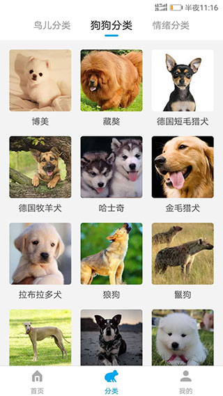 动物翻译器APP免费版
