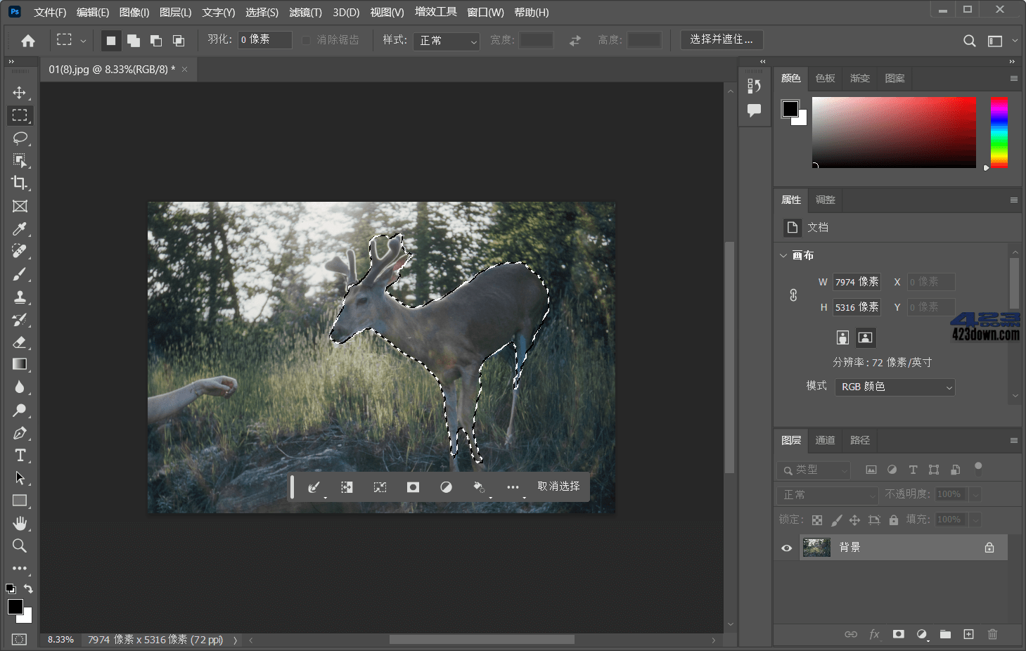 Adobe Photoshop 2024破解版直装激活版