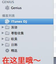 iPhone怎么用itunes下载音乐?