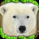 终极北极熊模拟器手机版 v1.1安卓版
