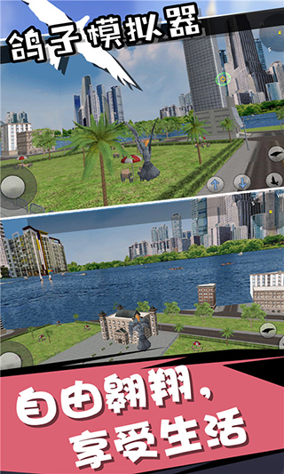 鸽子模拟器2024最新版本