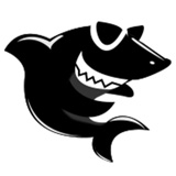 黑鲨装机大师 v2.0最新版