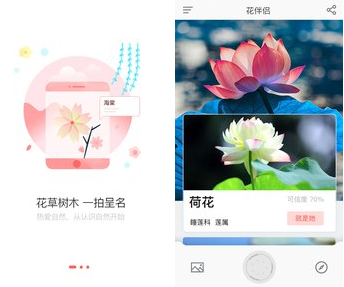 花伴侣安卓版