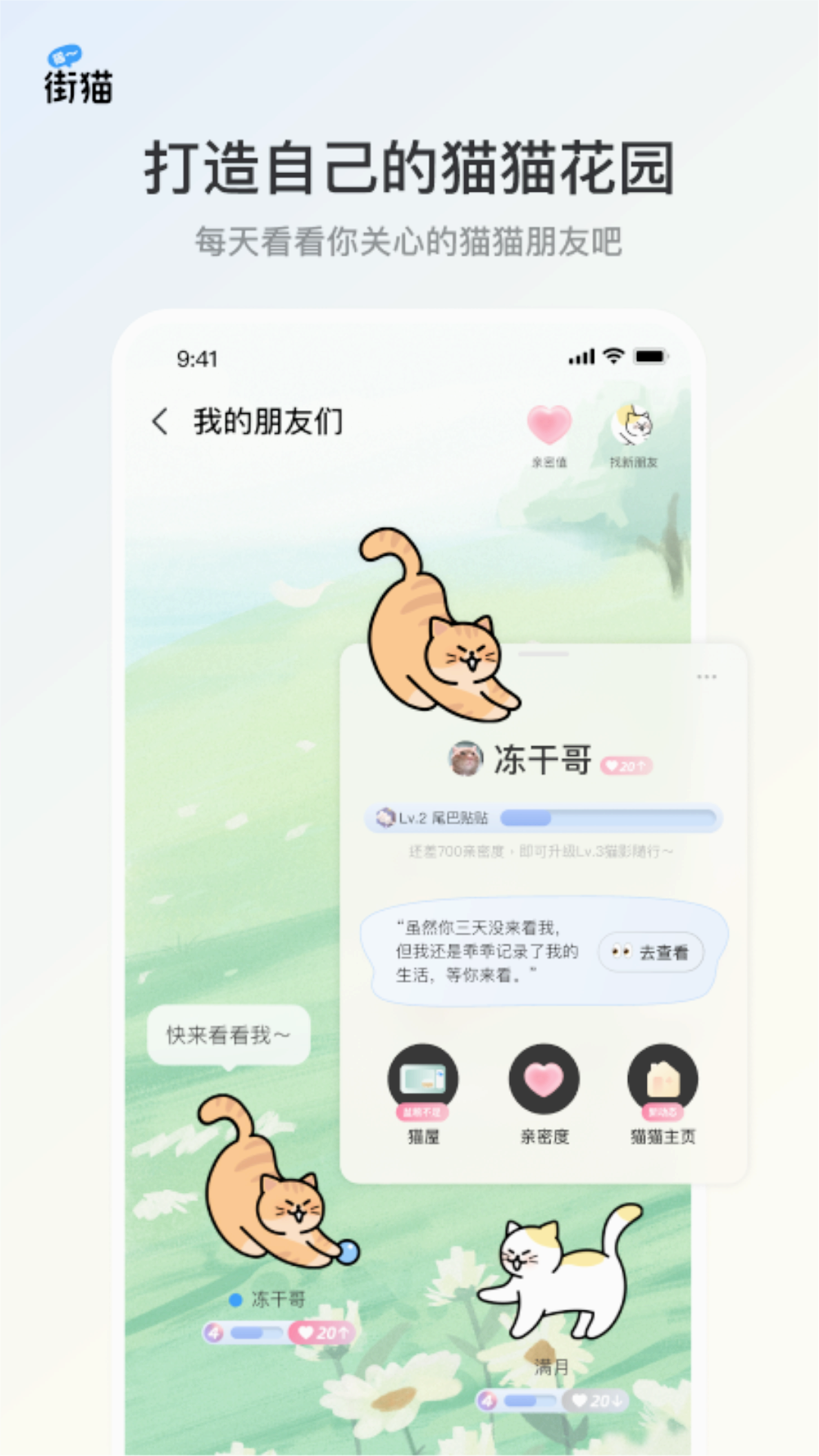哈啰街猫app2024官方版