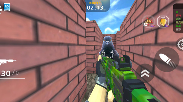 飞鸟大逃亡正版