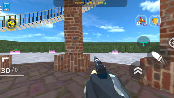 飞鸟大逃亡正版