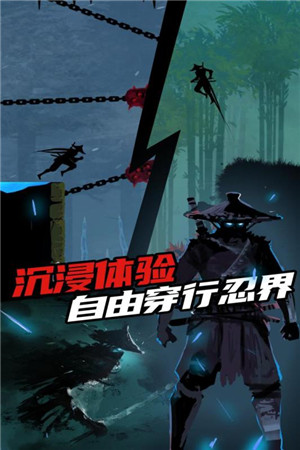 Ninja Arashi无限生命