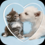 猫语狗语交流器（免费版）