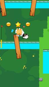 猫狗缠斗官网正版