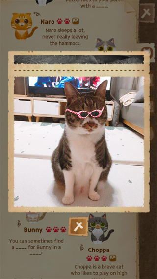 猫咪的秘密森林(附攻略)