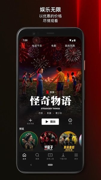 Netflix专业版