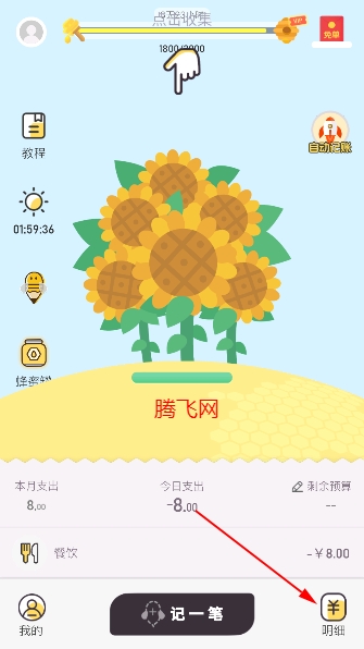 蜂窝记账手机版
