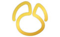 navicat premium纯净版