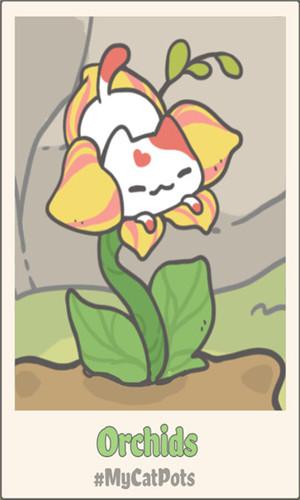 我的猫盆栽手游