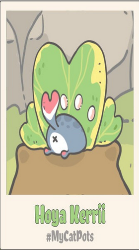 我的猫盆栽手游