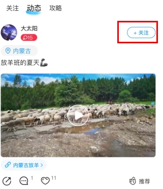 墨鱼旅行专业版