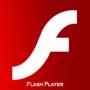 Flash Player Settings标准版