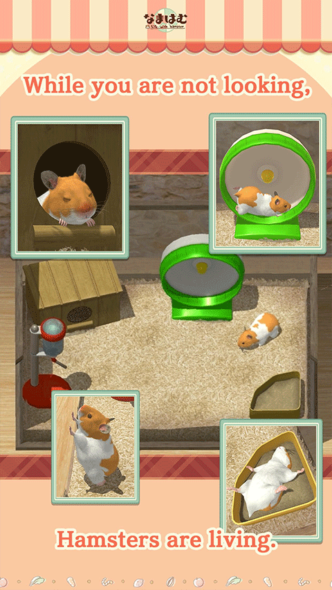 我的仓鼠中文版