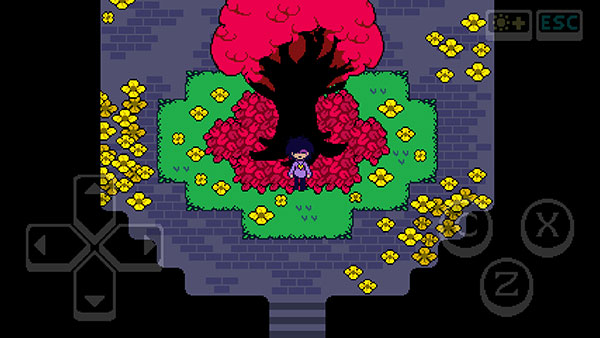 DF CONNECTED最新版