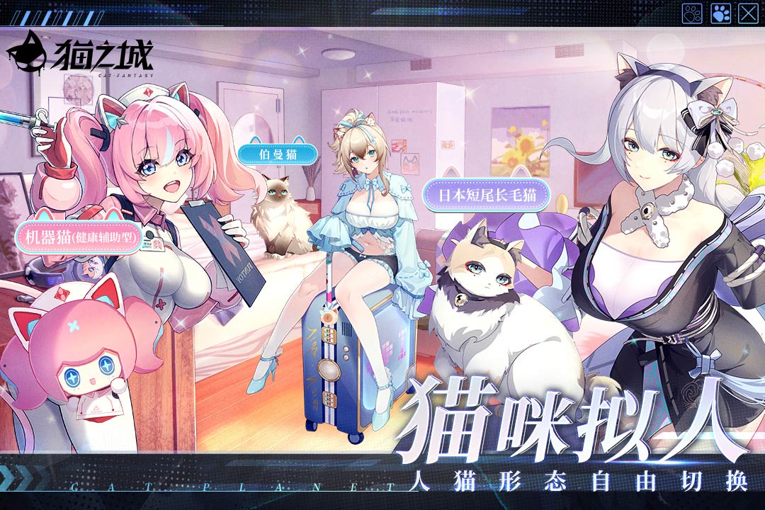 猫之城B服正版