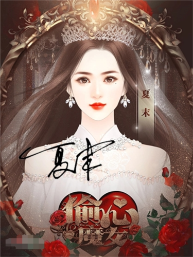 偷心魔女(内附攻略)