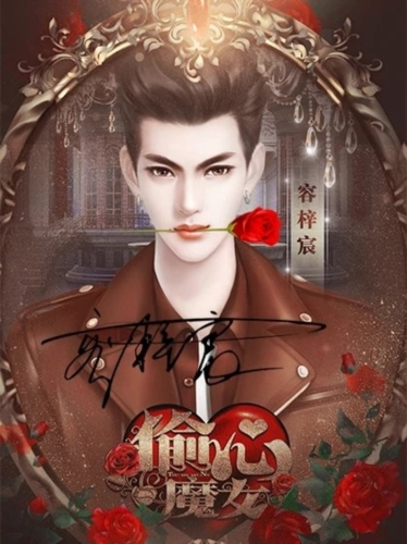 偷心魔女(内附攻略)