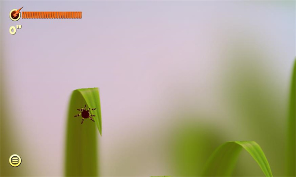 蜘蛛的冒险游戏