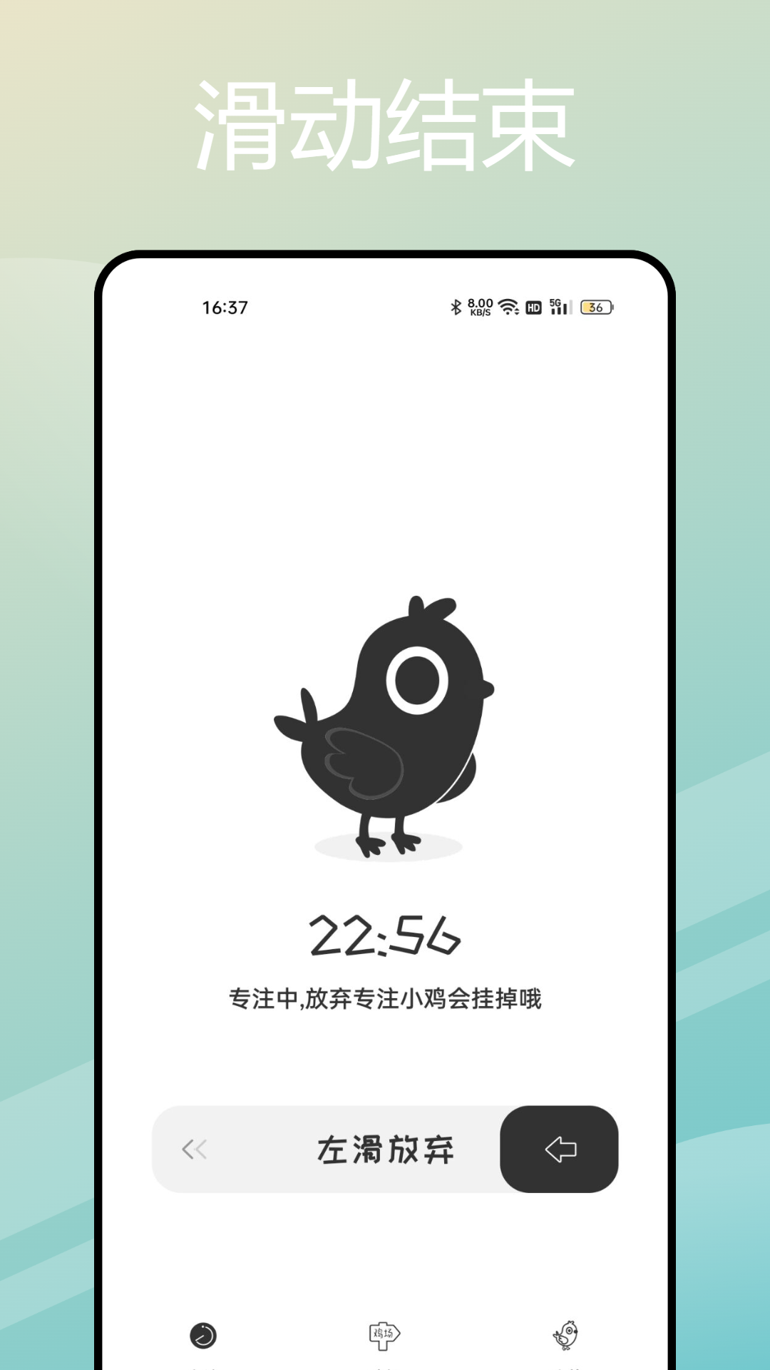 小鸡专注app安最新版