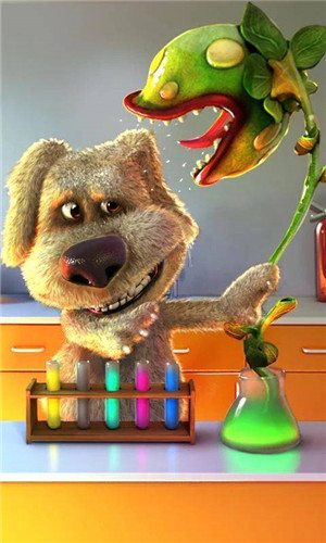 会说话的狗狗本(Talking Ben the Dog)