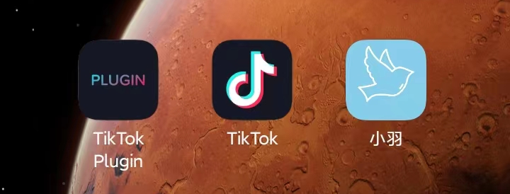 TikTok亚洲版汉化版