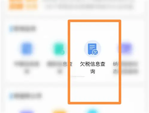 江苏税务中文版