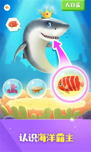 奇奇爱说话安卓版