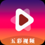 五彩视频安卓版