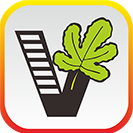 51自学网 v1.11.0手机版