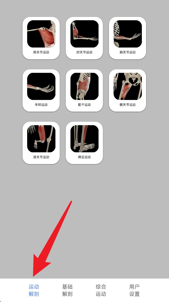 3d动态解剖安卓版