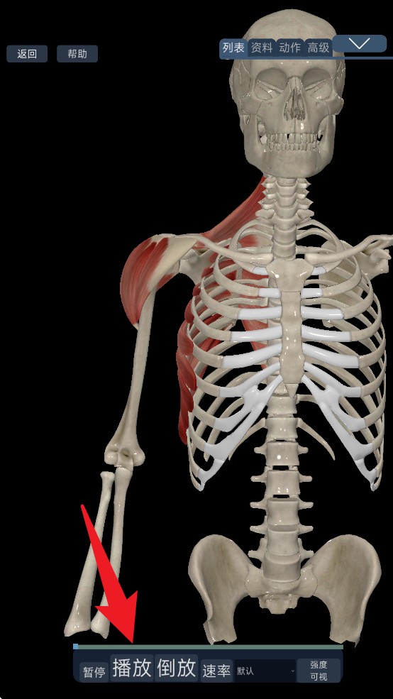 3d动态解剖安卓版