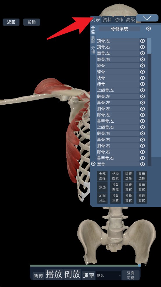 3d动态解剖安卓版