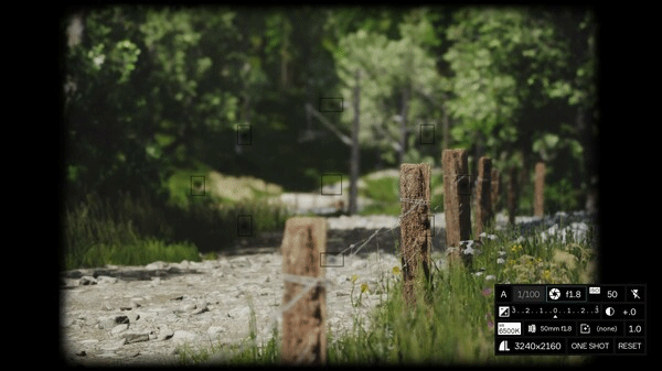 模拟美景摄影(Lushfoil Photography Sim)