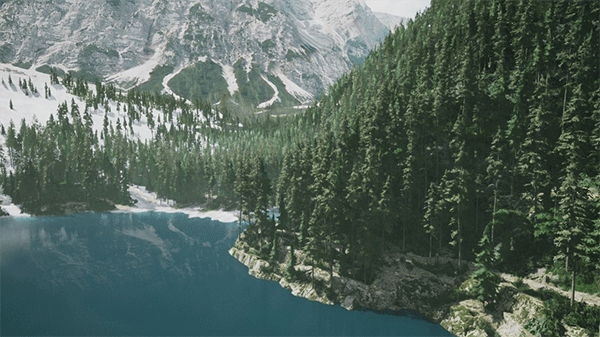 模拟美景摄影(Lushfoil Photography Sim) v0711电脑版