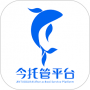 今托管官方版
